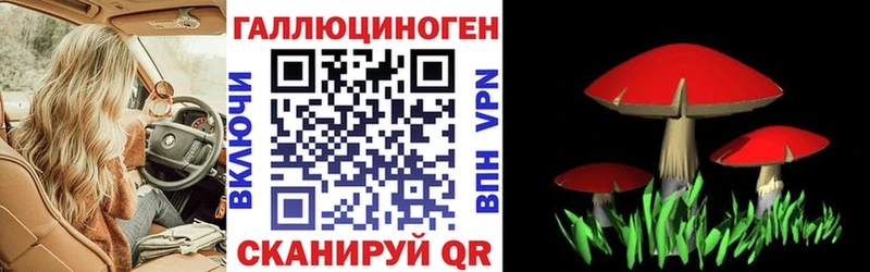 хочу наркоту  Северск  Галлюциногенные грибы Magic Shrooms 
